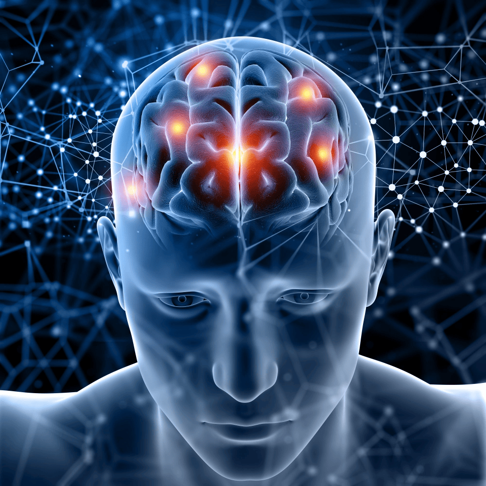 Human brain neural network illustration